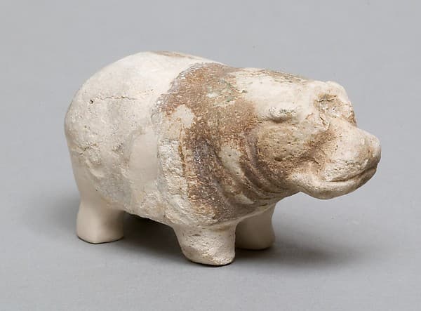 Hippopotamus