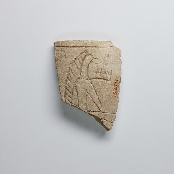 Fragment of a Feeding Cup