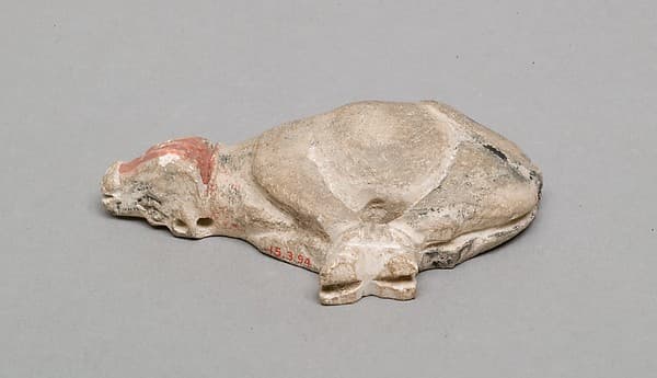 Model of slaughtered ox
