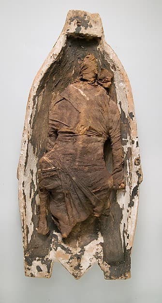 Half of a Food Case Containing a Preserved Goose