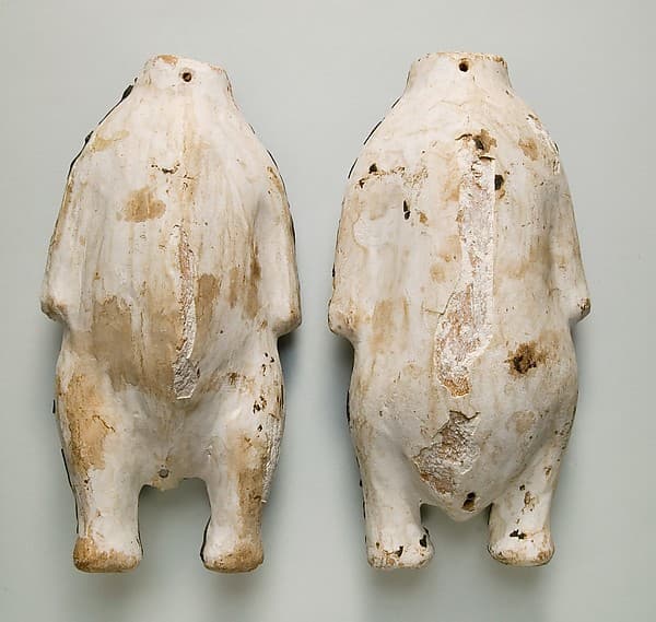 Food Case Probably Containing a Preserved Pigeon