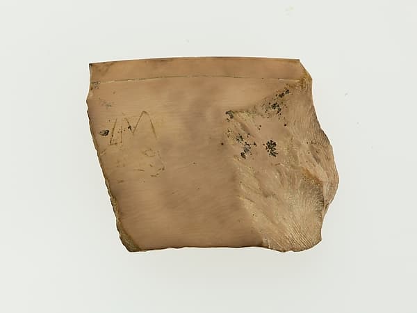 Magic wand fragment