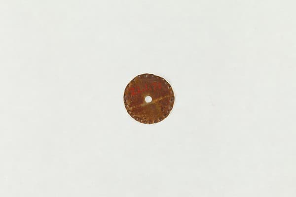 Disk