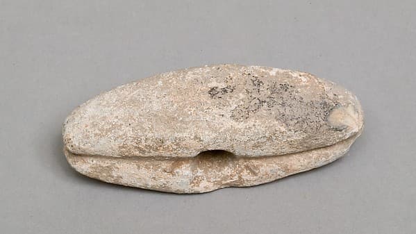 Fish net weight