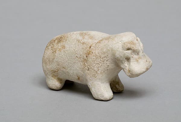 Hippopotamus