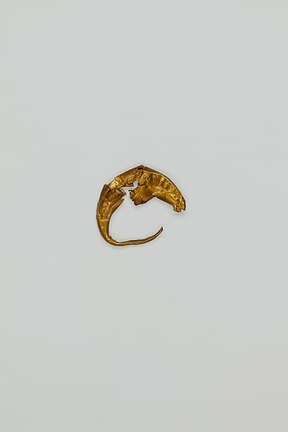 Earring