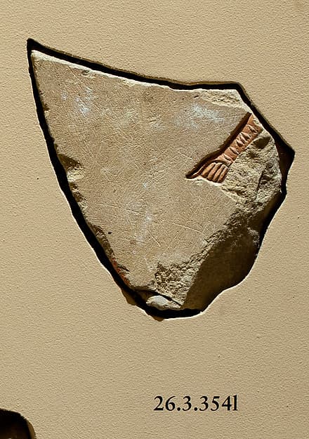 Arm with enigmatic marks