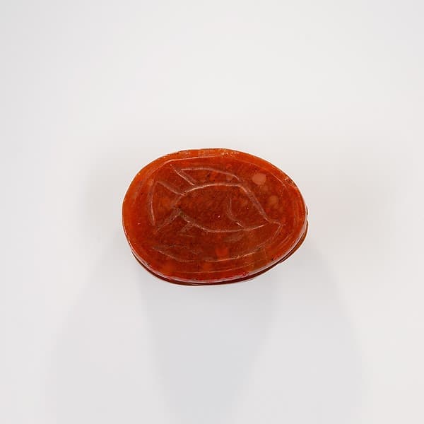 Scarab with Tilapia Fish