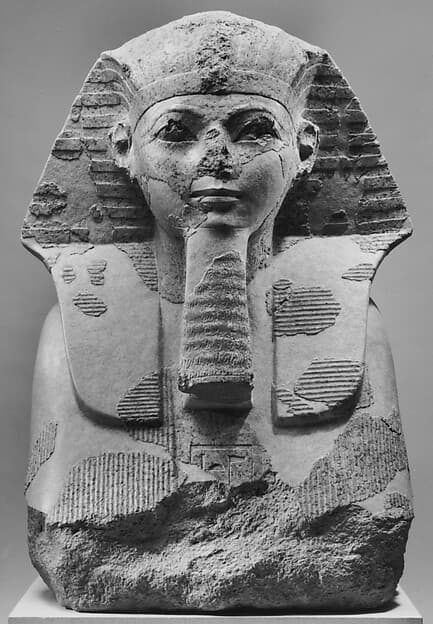 Head and Shoulders of a Sphinx of Hatshepsut