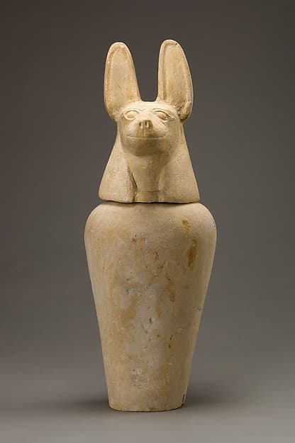 Canopic jar with jackal head