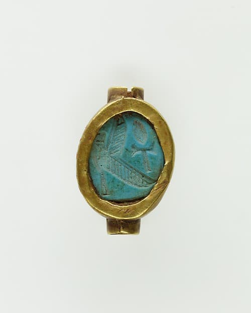 Cowroid Set in a Ring Bezel