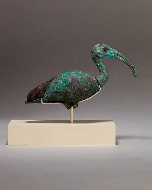 Ibis