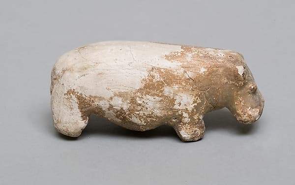 Hippopotamus