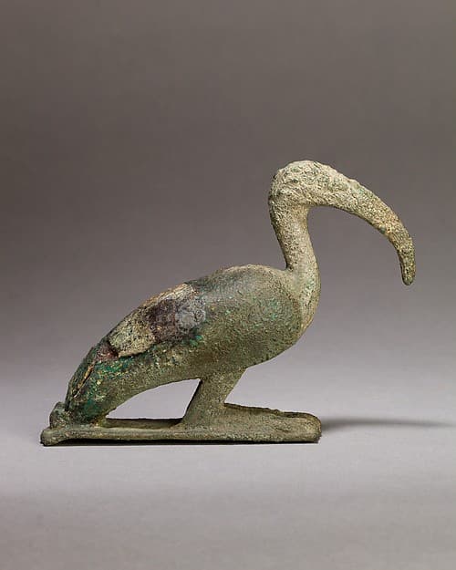 Ibis