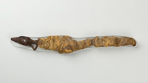 Sacred animal mummy of crocodile