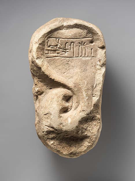 Model Ear of Ramessumerysutekh