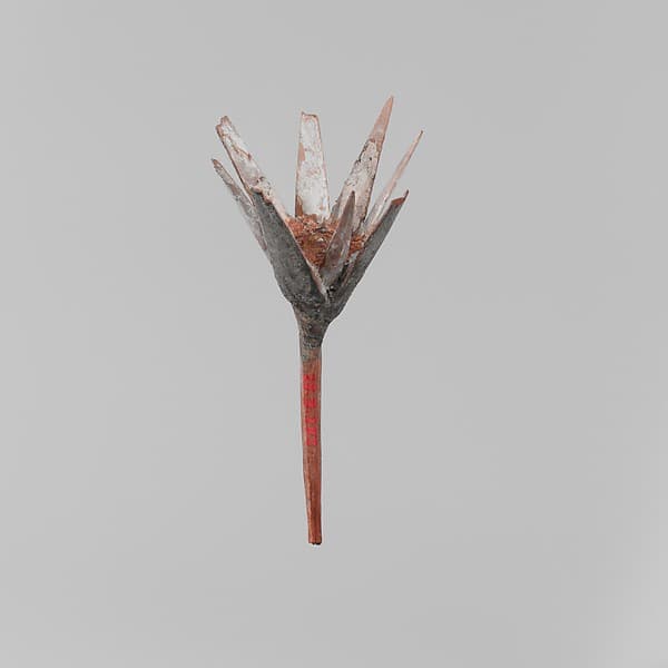 Model Lotus Flower