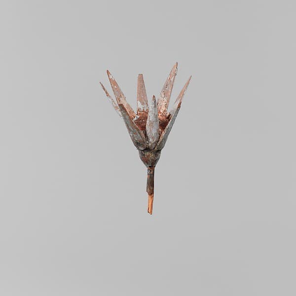 Model Lotus Flower