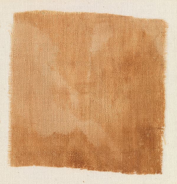Sample of Cloth