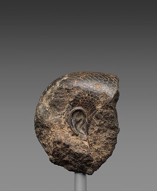 Fragment from the Head of a Queen's Statue