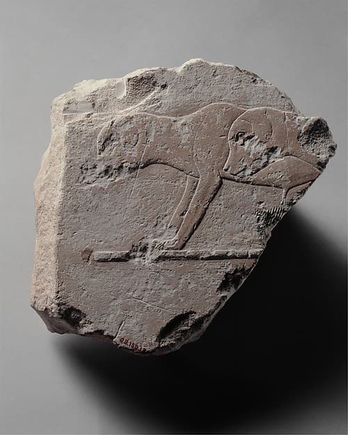 Relief fragment with two young dogs