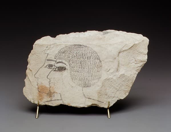 Artist's Sketches of Senenmut, Sketch of Small Rodent on Opposite Side