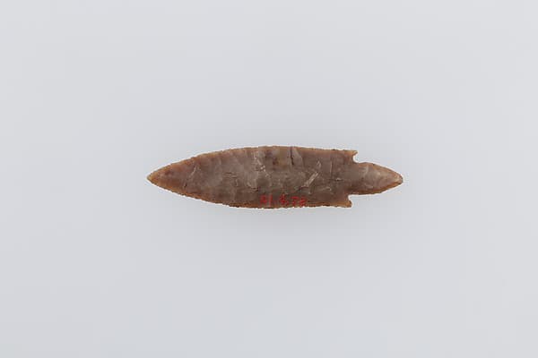 Projectile Point