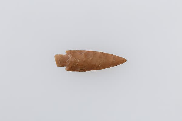 Projectile Point