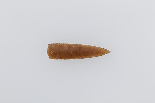Projectile Point