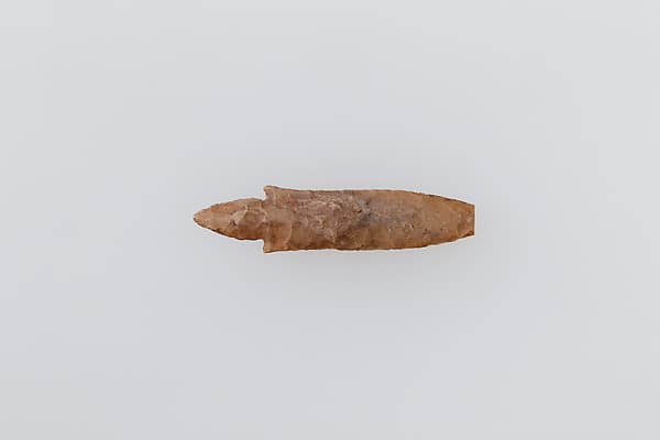 Projectile Point