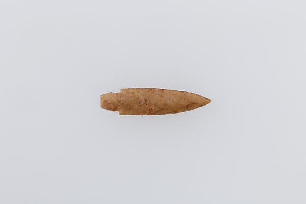 Projectile Point