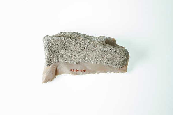Sickle Insert