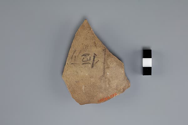 Ostracon