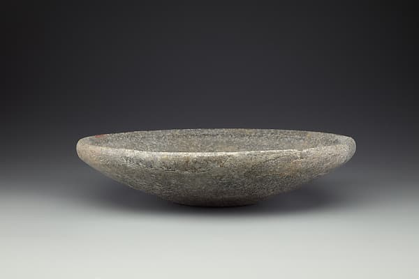 Dish