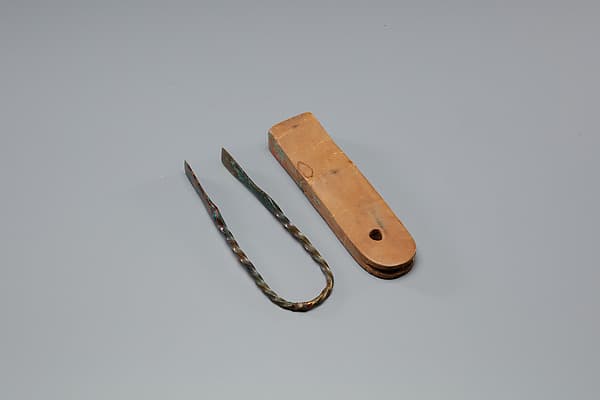 Tweezers Mounted on a Wood Block