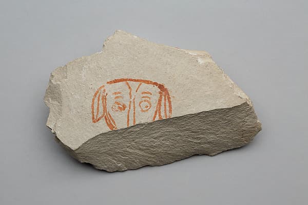 Sketch of a dog