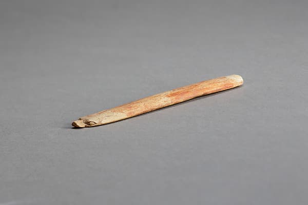 Throw Stick
