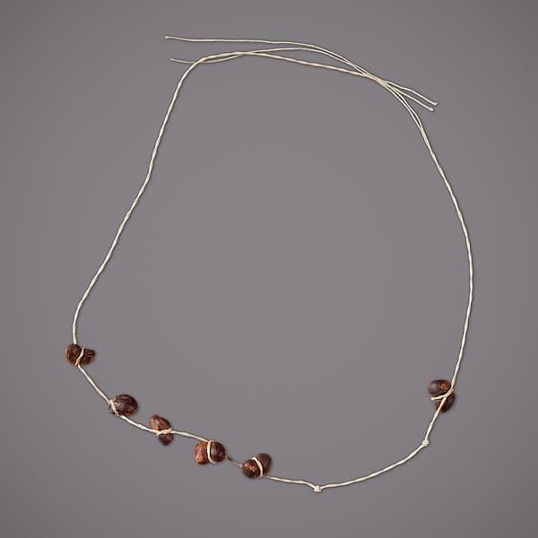 String of 8 kidney-shaped seeds
