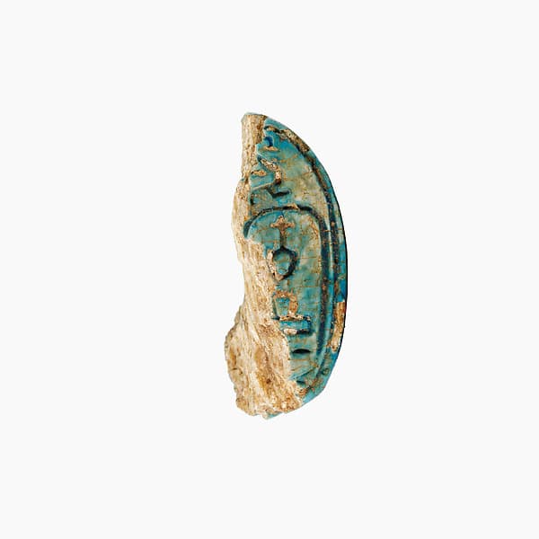 Part of a Scarab Inscribed for Neferhotep I