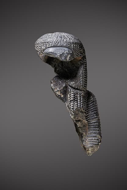 Statuette fragments, possibly depicting Ahmose-Nefertari posthumously based on probable findspot