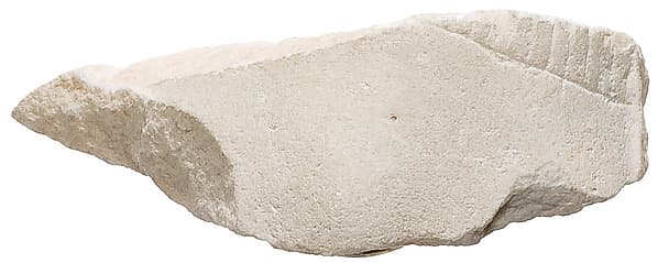 Ankle with garment and sandal strap