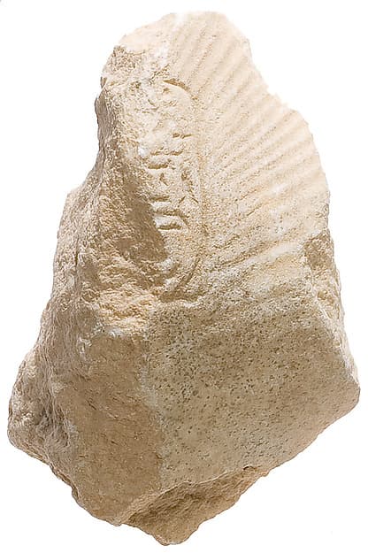 Breast with shawl, Aten cartouche