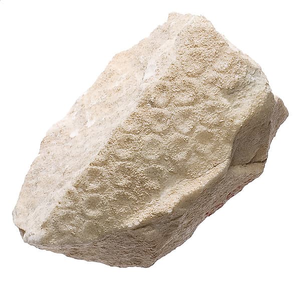Crown with disks fragment