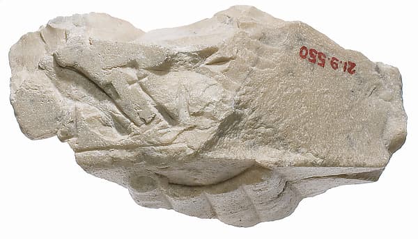 Offering table with hand, titulary of king