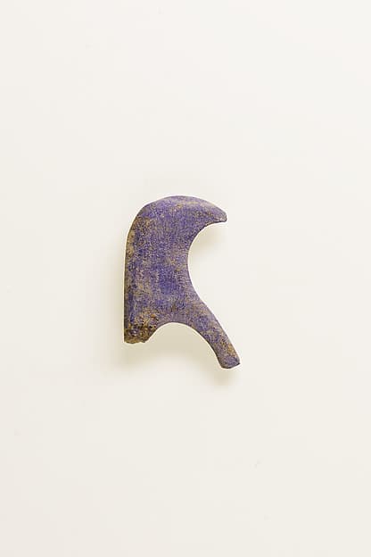 Fragment of wing inlay