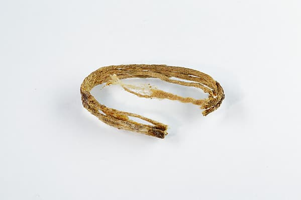 String from papyrus charm