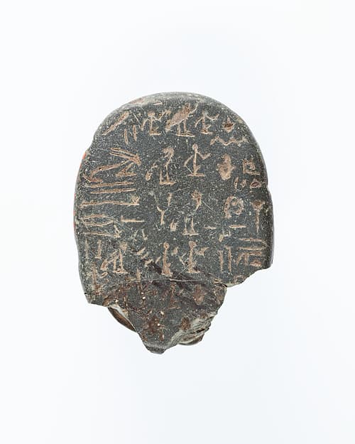 Heart Scarab