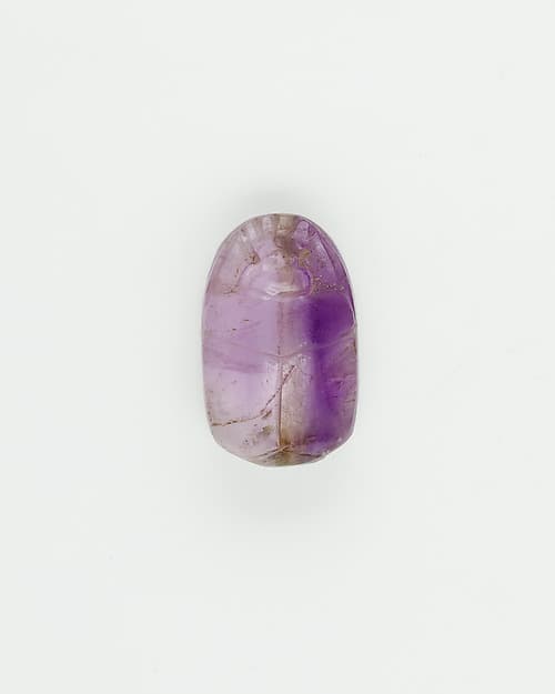 Scarab