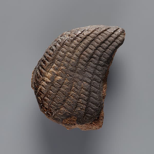 Tile Inlay depicting a Wig