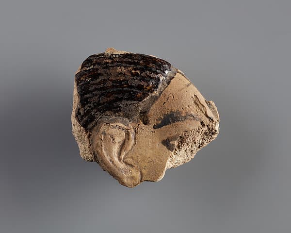 Tile with a fragment of a captive from the palace of Ramesses II